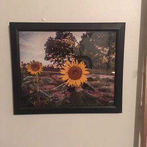 Photography prints with frames